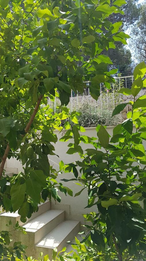 Apartman Di Mali Lošinj Εξωτερικό φωτογραφία